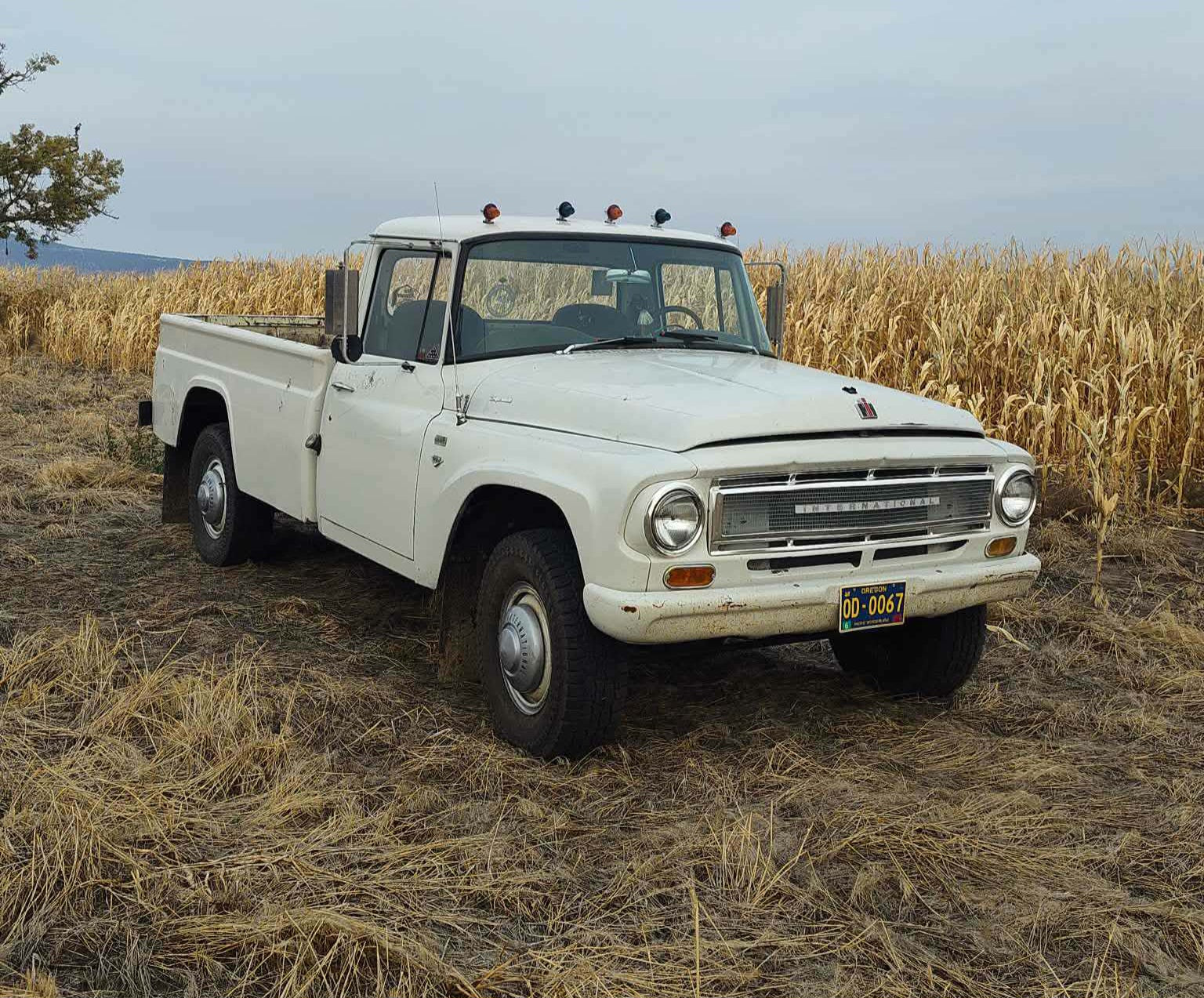 International Products